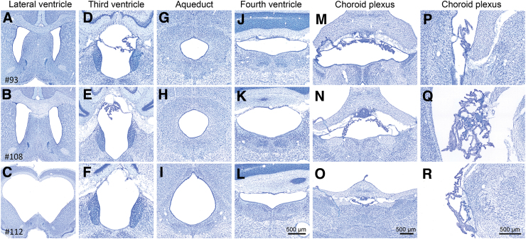 FIG. 6.