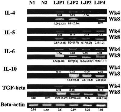 FIG. 3.