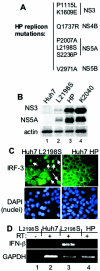 FIG. 2.