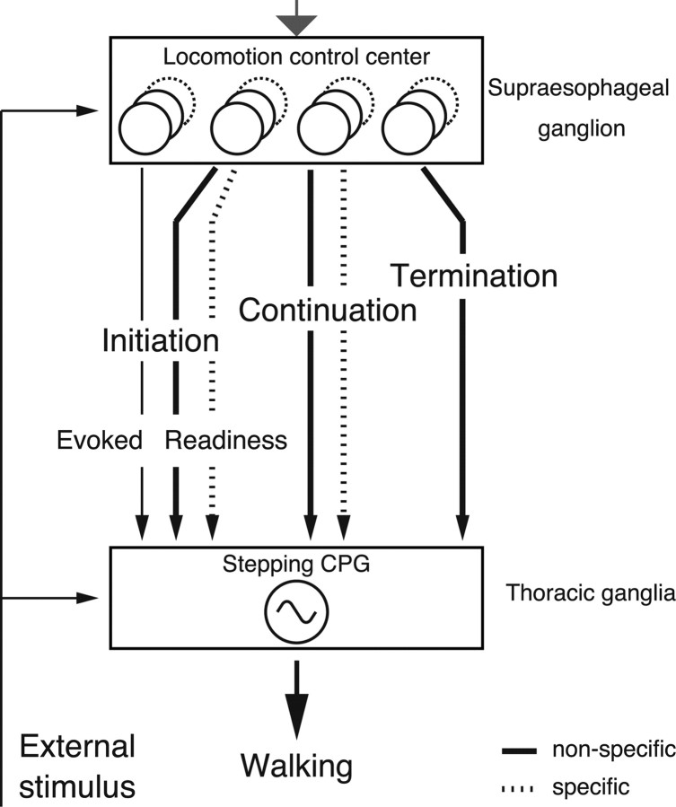 Figure 10.