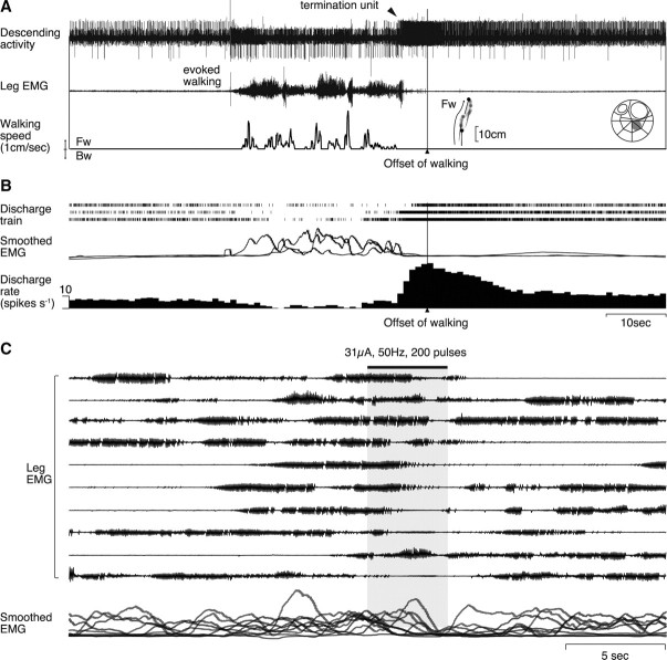 Figure 9.