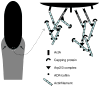Fig. 10