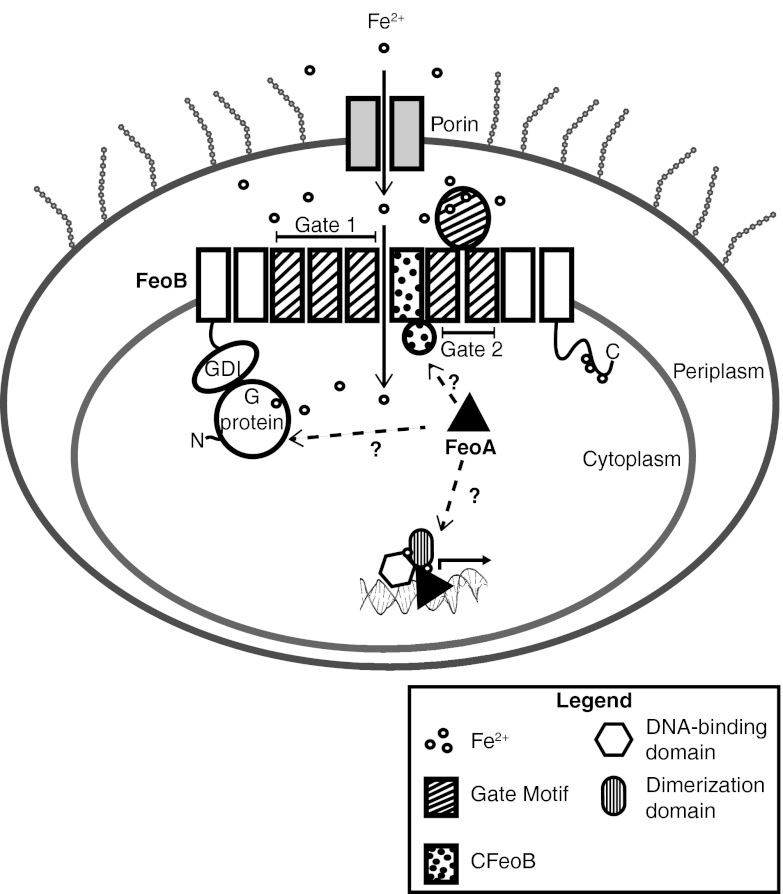 Fig 7