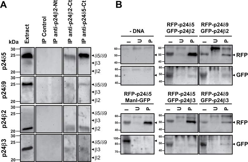 Fig. 13.