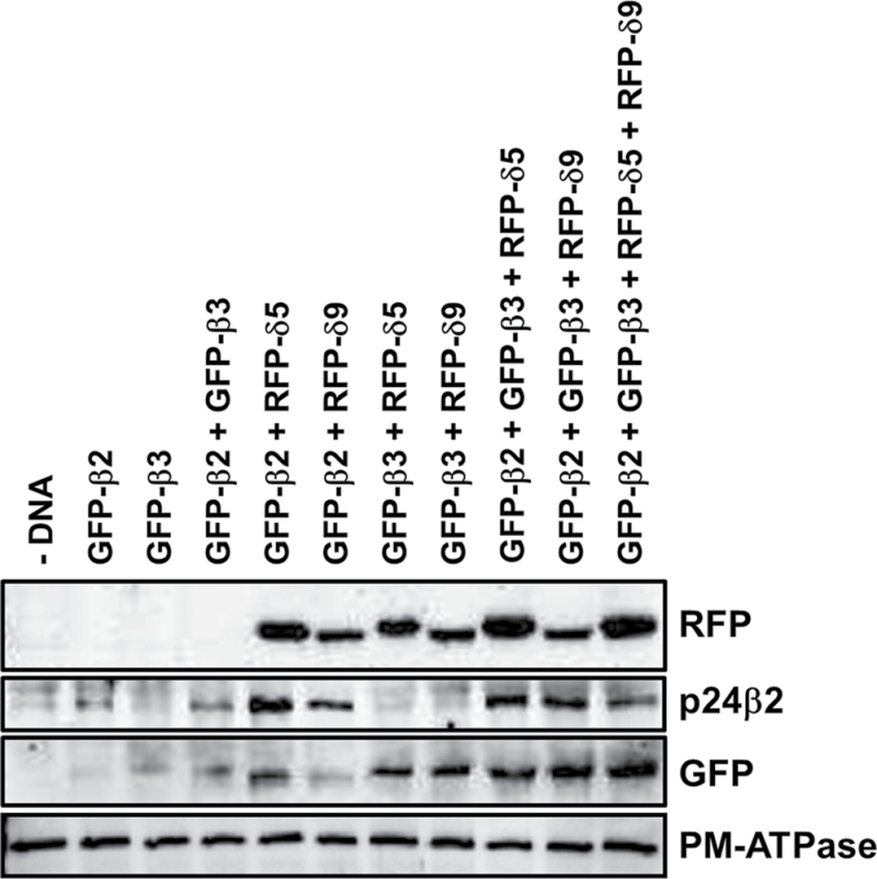 Fig. 11.