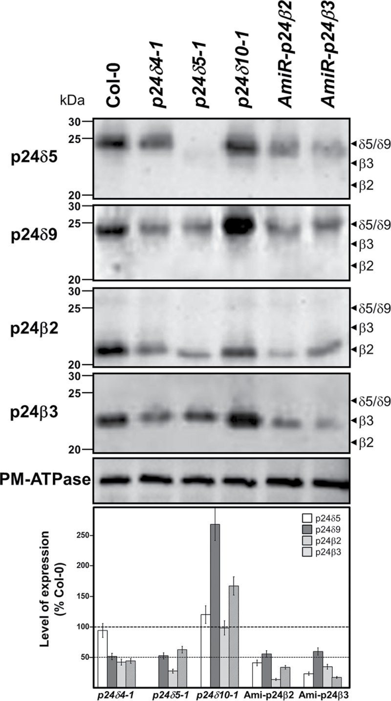 Fig. 12.