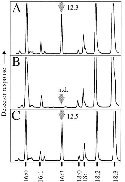 Figure 3.