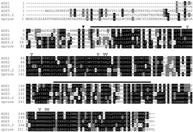 Figure 2.