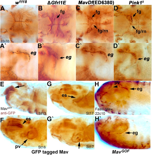 Fig. 6.