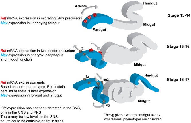 Fig. 8.