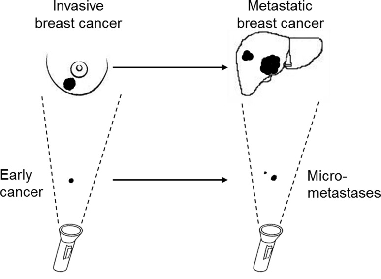 Fig. 9