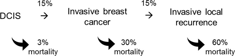 Fig. 7