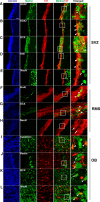 Figure 6.