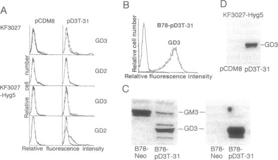 graphic file with name pnas01144-0223-a.jpg