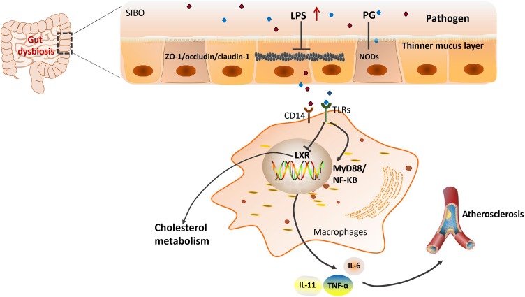 FIGURE 1