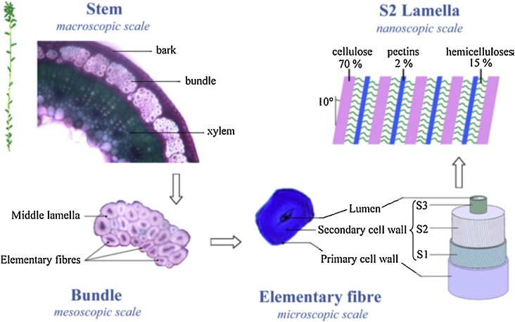 Fig. 2