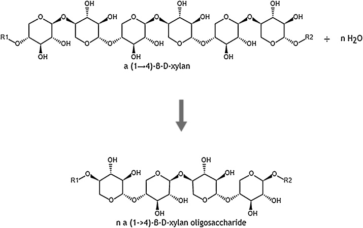 Fig. 10