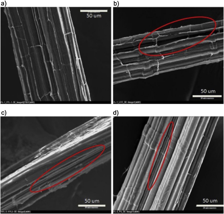 Fig. 14