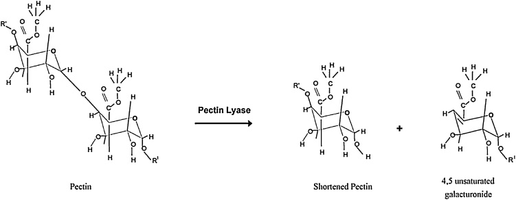 Fig. 9