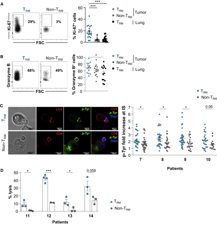 Figure 6