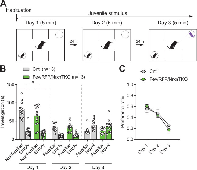 Figure 4—figure supplement 2.