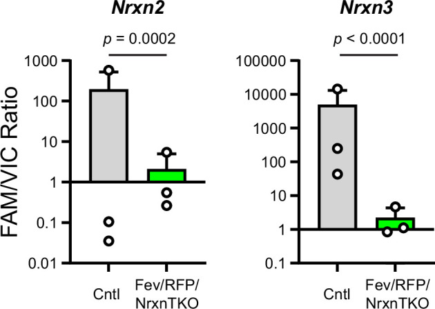 Figure 1—figure supplement 1.