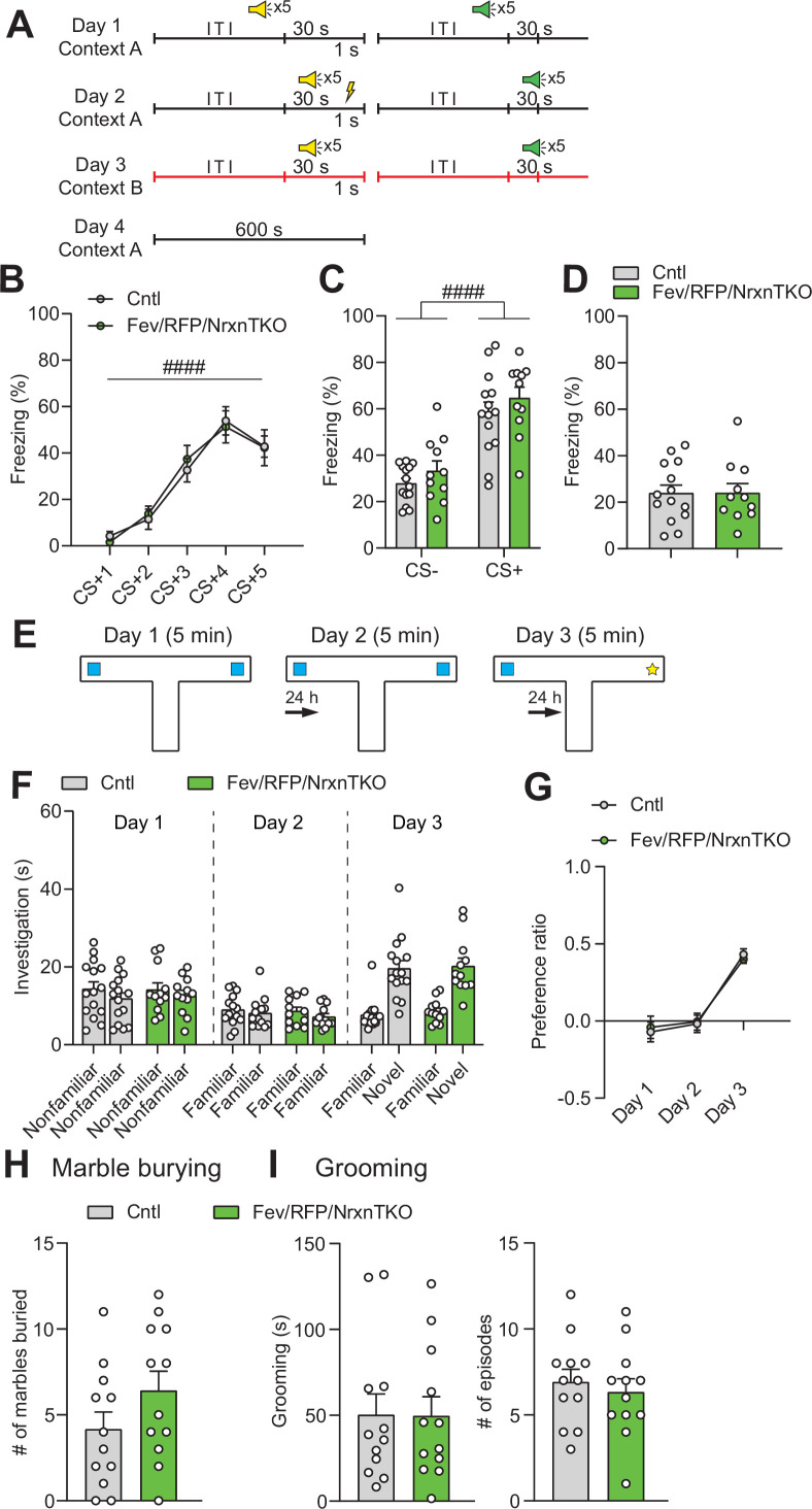 Figure 4—figure supplement 3.