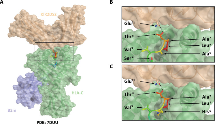 Fig. 2.