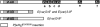 F<sc>igure</sc> 4.—