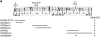 F<sc>igure</sc> 2.—