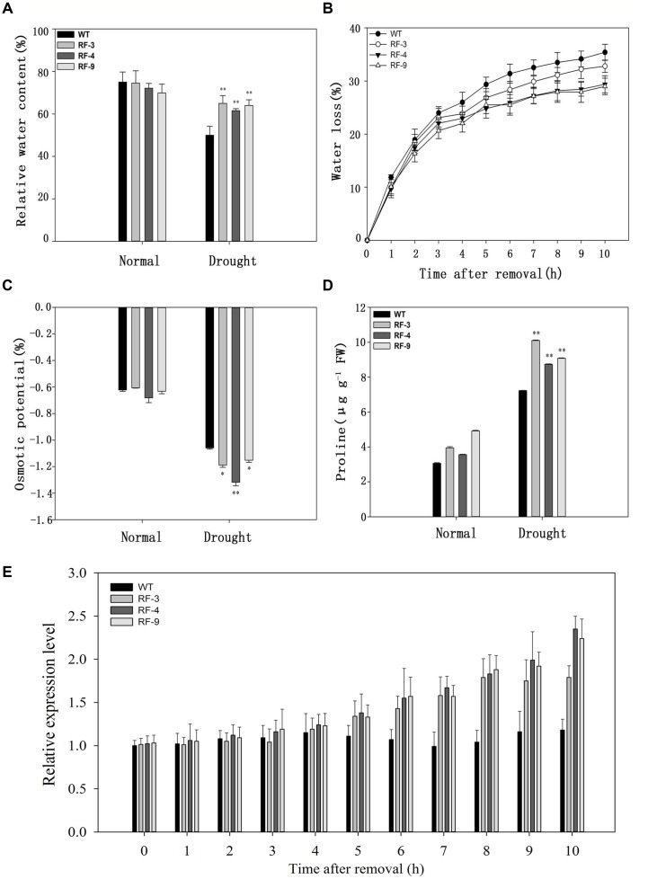 FIGURE 4