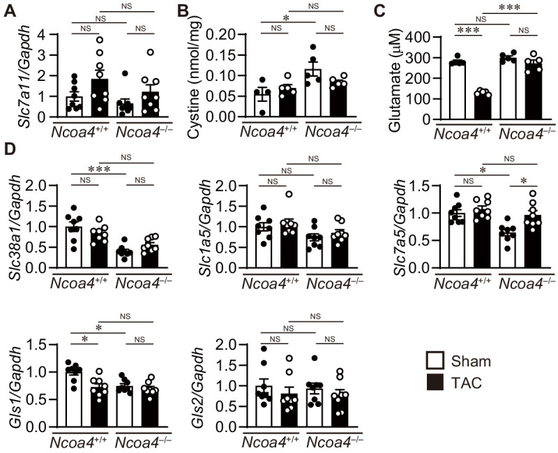 Figure 4—figure supplement 4.