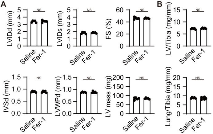 Figure 6—figure supplement 2.