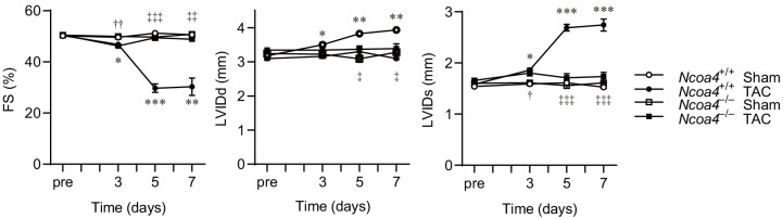 Figure 2—figure supplement 1.