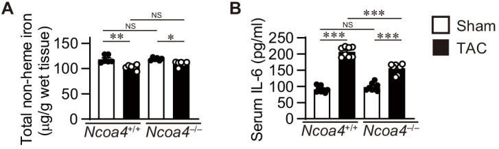 Figure 4—figure supplement 1.