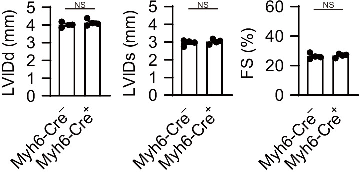 Figure 1—figure supplement 3.