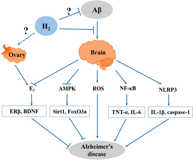 Fig. 4