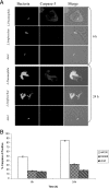 FIG. 8.