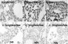 FIG. 11.