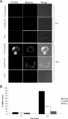 FIG. 10.