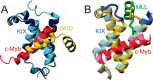 FIGURE 4.