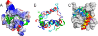 FIGURE 3.