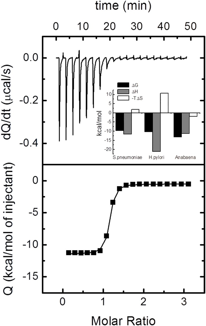 Fig 5