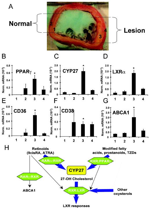 FIG. 7.