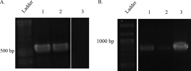 FIG 3