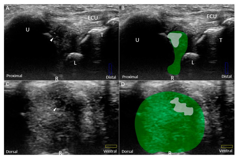 Figure 9