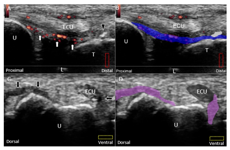 Figure 15