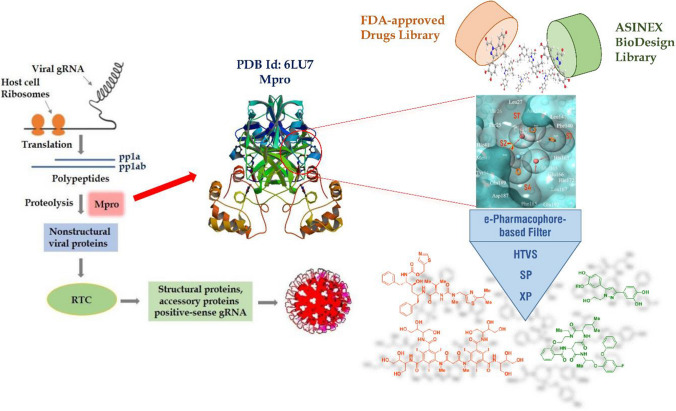 graphic file with name 11030_2020_10130_Figa_HTML.jpg