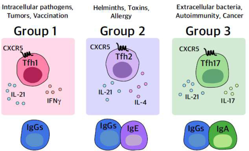 Key Figure, Figure 2: