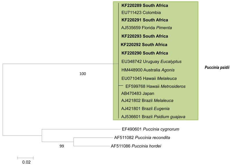 Fig. 2.